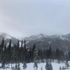 Отель Wheeler Peak 401, фото 9