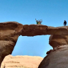 Отель Wadi Rum Silk Road Camp, фото 5