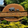 Отель Bear Cove Falls #4133, фото 25