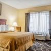 Отель Quality Hotel & Suites At The Falls, фото 4