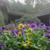 Отель Linxi Wushan Inn, фото 18