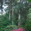 Отель Rocky Creek Art Garden B&B, фото 5