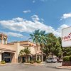 Отель Hawthorn Suites by Wyndham El Paso Airport в Эль-Пасо