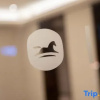 Отель Hanting Hotel (Harbin Engineering University Metro Station), фото 10