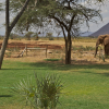 Отель Ashnil Samburu Camp, фото 25