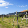 Отель Agriturismo Graziano e Barbara, фото 15