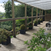 Отель Toppesfield House B&B, фото 32