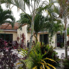 Отель Dorothy's Muri Beach Bungalows, фото 12