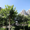 Отель China Sunshine Apartmen Guomao, фото 3