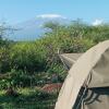 Отель Kimana Amboseli Camp, фото 29