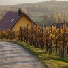 Отель Vineyard Cottage Brodaric в Метлике