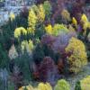 Отель Camping El Jabalí Blanco, фото 15