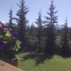 Отель Alaska Spruce Cabin's, фото 30