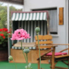 Отель Apartment Rerik With Fenced Garden, фото 17