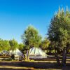 Отель Guadalupe Valle Glamping, фото 27