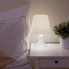 Отель Buchholz Downtown Hotel, фото 17