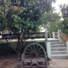 Отель Pai Backpackers Paradise - Adults Only, фото 29