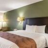 Отель Holiday Inn Express Clemmons (Winston/Salem Area), фото 29