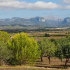 Отель Holiday Country house Mallorca, фото 18