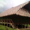 Отель Amazon Canopy Expeditions Ecolodge, фото 23
