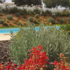 Отель Flamingo Residence, фото 15