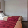 Отель Econo Lodge Thunder Bay, фото 19