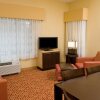 Отель TownePlace Suites Williamsport, фото 10