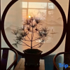 Отель Furong Xiaozhu Homestay, фото 2