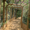 Отель The Secret Garden - The Cottage Near Beach, Shops, Restaurants, Pet Friendly, Close to Lucerne Ave!, фото 8