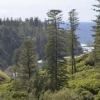 Отель Norfolk Island Holiday Homes, фото 24