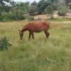 Отель Finca La Ramallosa, фото 28