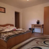 Отель Pensiunea Irina Zarnesti, фото 6