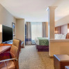 Отель Comfort Inn & Suites Schenectady - Scotia, фото 39