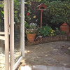 Отель Mulberry Cottage B&B, фото 15