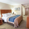 Отель Comfort Inn Civic Center, фото 3