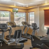 Отель Executive Style Luxury Condo with Mountain Views & HEATED POOL/SPA! by RedAwning, фото 18