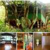 Отель Naguala Jungle Lodge, фото 10