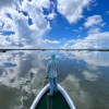 Отель Costa de Cocos Xcalak, фото 11