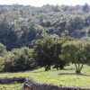 Отель Arton Villa in the Heart of Istria, фото 21