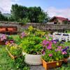 Отель Allegria House, фото 2