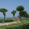 Отель Semi Detached Bungalow With Ac Just 3,5 Km. From Sirmione, фото 34