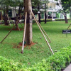 Отель Homey Woodland Park Apartment Near Kalibata Plaza, фото 26