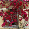 Отель Traditional Home Near The Beach, фото 1