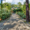 Отель Villa Les As Asti 31586, фото 18