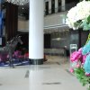 Отель Huizhou Shanshui S Hotel, фото 1