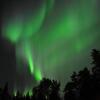 Отель Caribou RV Park, фото 1