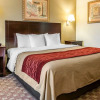 Отель Comfort Inn, фото 19