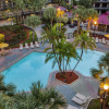 Отель Staybridge Suites Orlando Royale Parc Suites, an IHG Hotel, фото 17