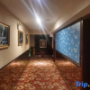 Отель Zun Pin Hotel, фото 2