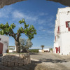 Отель Masseria Torre Coccaro, фото 21